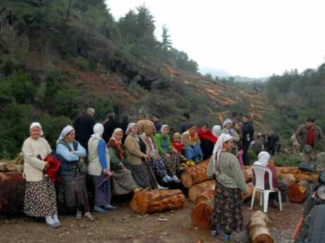 Köyceğiz'de kurulacak HES barajına tepki