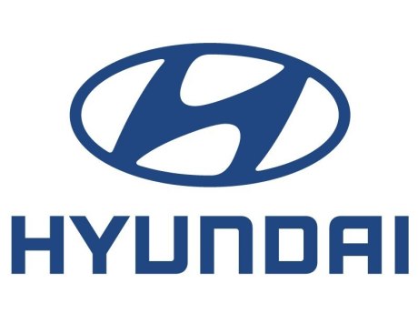 Hyundai 2009'u lider kapattı