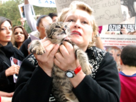 Taksim'de kedili köpekli protesto