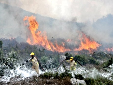 Hatay'da zeytinlik alanda yangın