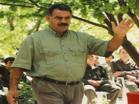 Öcalan'ın yeğenine 7 yıl hapis