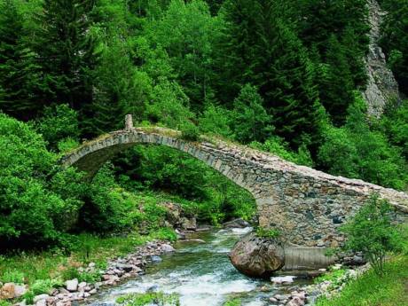 İkizdere Vadisi'nin doğal sit alanı ilan edilmesi