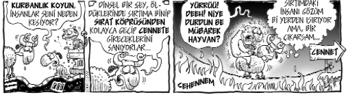 Hayvanlar (19.11.2010)