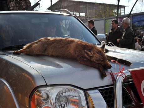 Gelenekmiş!