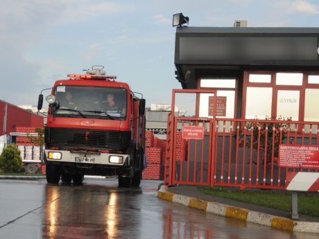 İrlandalılar hükümeti protesto etti