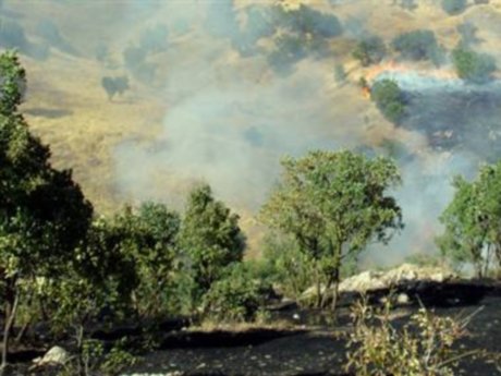 Artvin'de orman yangını (26.12.2010)