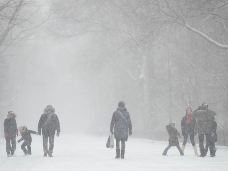 New York'ta tipi uyarısı