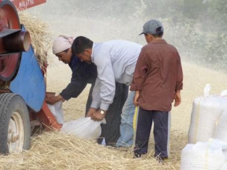 Tarımda yeni uygulama alanları belirlendi (29.12.2010)