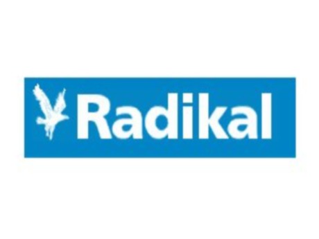 Radikal'e 'Ayna' davası