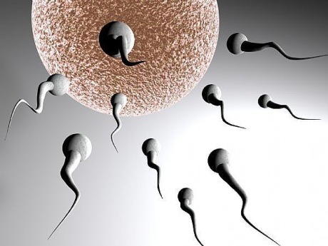 Sperm sayım testi artık evlerde yapılacak!