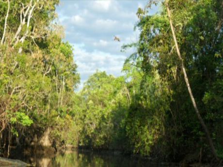 Borneo'da kuraklık etkili oluyor