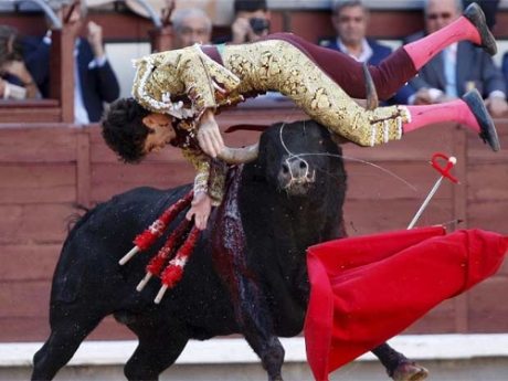 Ünlü matador ağır yaralandı