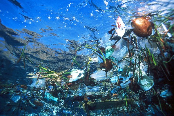 Denizden gelen plastik