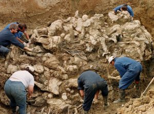 Srebrenitsa katliamının sorumlusuna tahliye