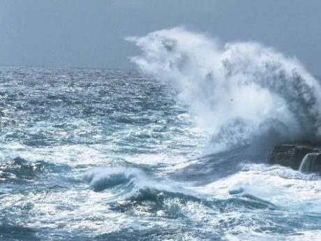 Zonguldak'ta deniz kirliliği