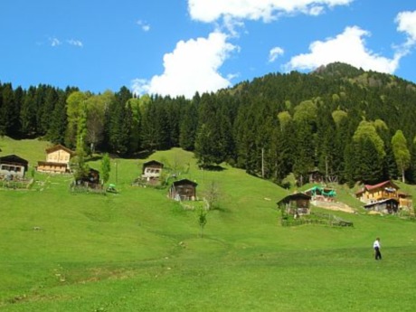 Ayder turizmine 'bal' etkisi