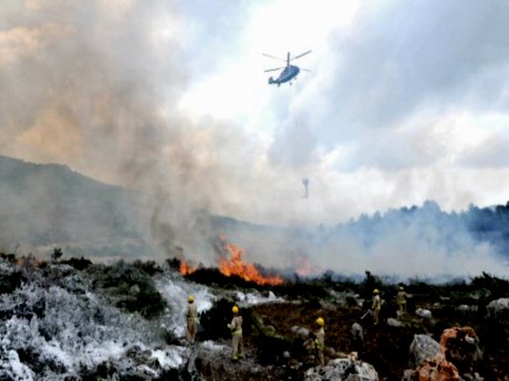 Manisa'da orman yangını (26.07.2010)