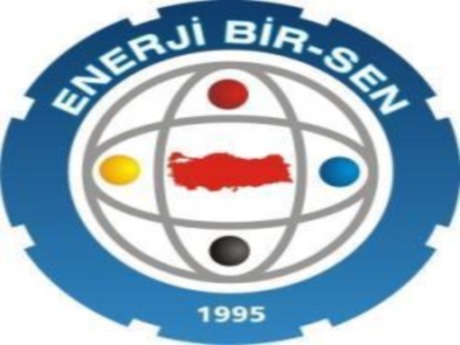 Enerji Bir-Sen, özelleştirme raporu hazırladı