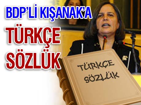 BDP'ye Türkçe Sözlük protestosu