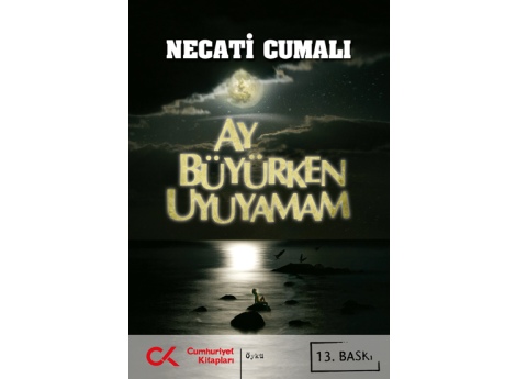 Ay Büyürken Uyuyamam