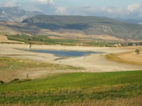 Yaban hayvanları için doğaya yem bırakıldı (16.02.2011)