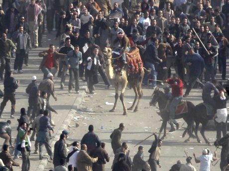 'Mısır ordusu, protestoculara işkence yaptı'