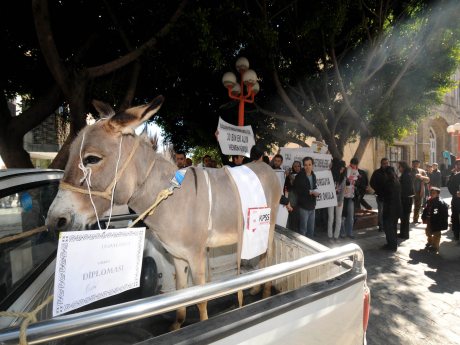 Mersin'de eşekli KPSS protestosu