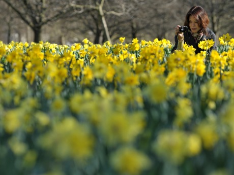 Hyde Park'a akın