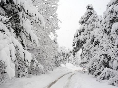 Yarından itibaren donacağız