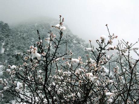 Meteorolojiden önemli uyarı (12.04.2011)