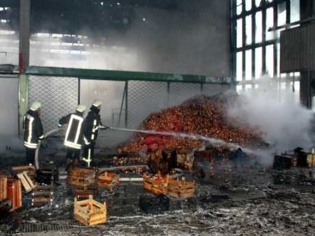 Narenciye fabrikasında yangın