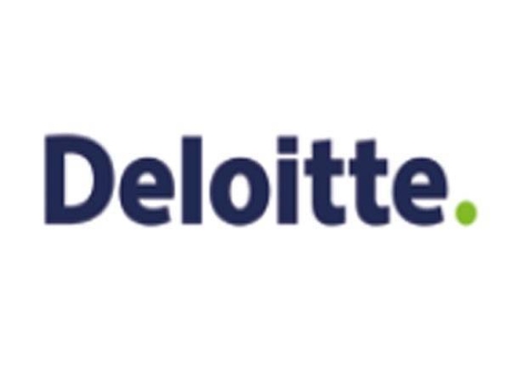 Deloitte'den enerji sektörü yorumu