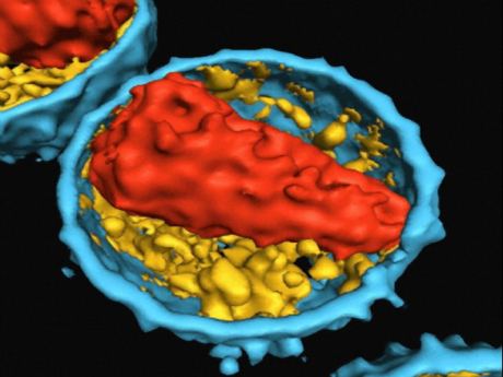 HIV ilaçları hakkında yani araştırma