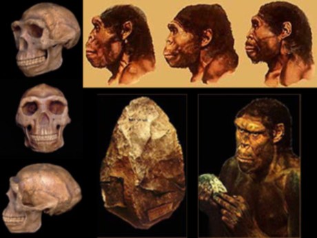 Homo Erectus'un soyu sanılandan çok önce tükenmiş