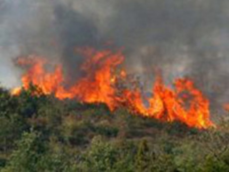 Burdur'da korkutan yangın