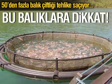 Antibiyotikli balık