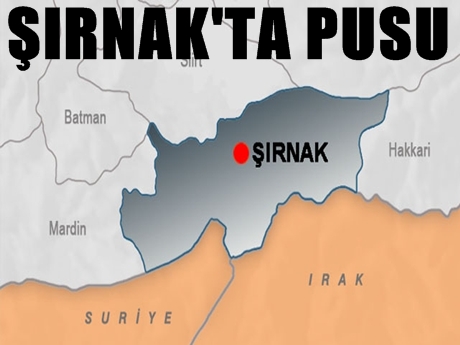 Şırnak'ta çatışma: 3 şehit, 3 yaralı!