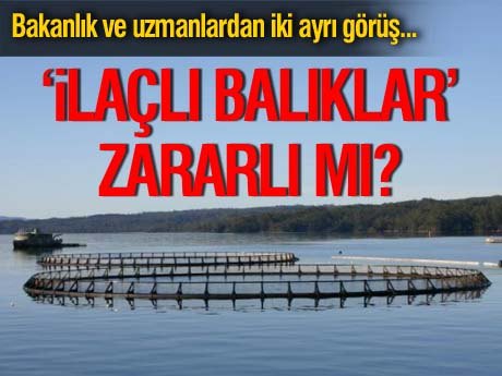 Antibiyotikli balık tartışması