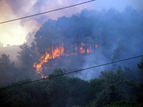 ABD'de orman yangını (05.09.2011)