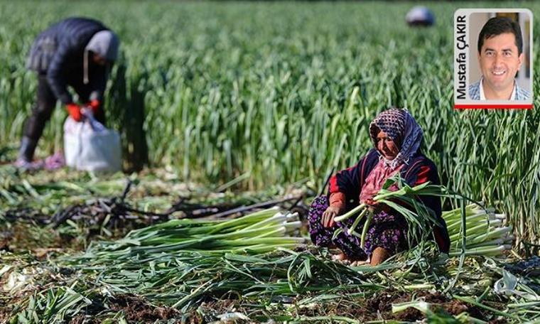 Çalışan yüzde 20 vergi ödeyecek