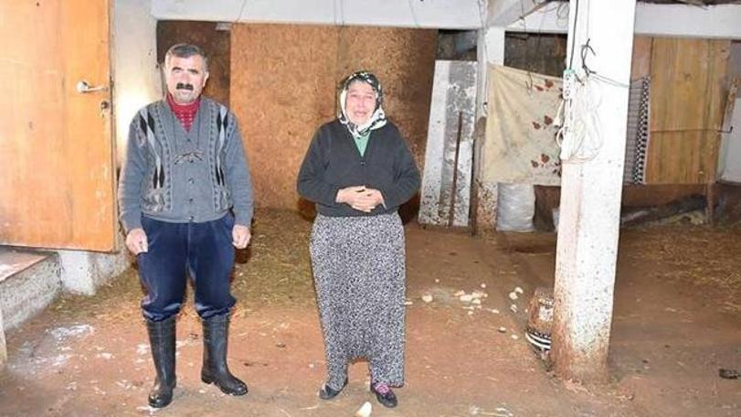 Dolandırıcıların yeni hedefi şehit ailesi oldu!