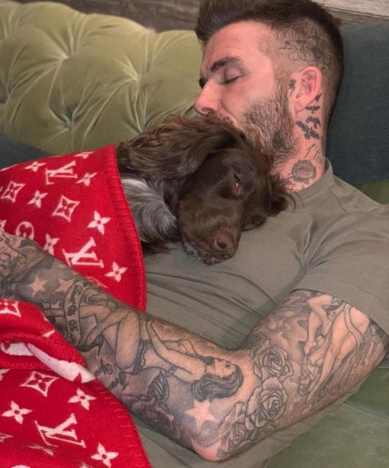 David Beckham’ın köpeğine aldığı battaniyenin fiyatı dudak uçuklattı