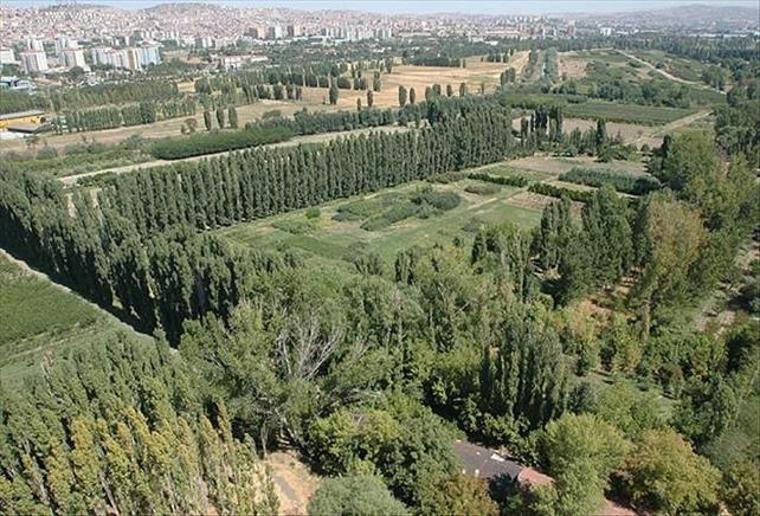 Mahkeme, Atatürk Orman Çiftliği davasında kararını verdi