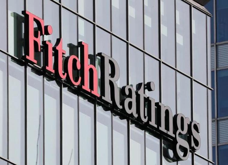 Fitch'ten kritik uyarı (24.01.2019)