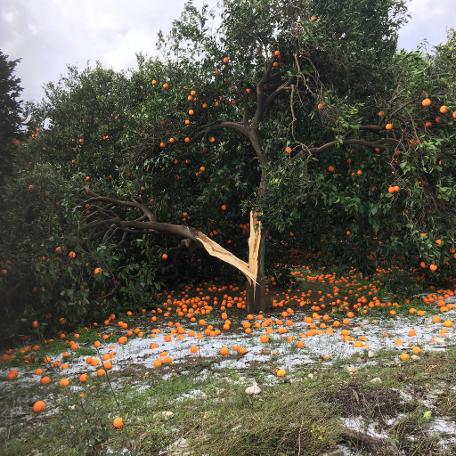 Korkunç olay! Antalya'da hortum can aldı