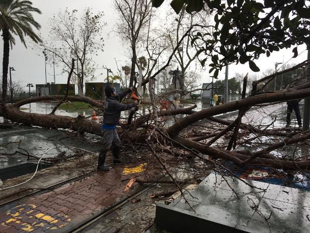 Antalya Havalimanı'nda hortum: 2 uçak hasar gördü