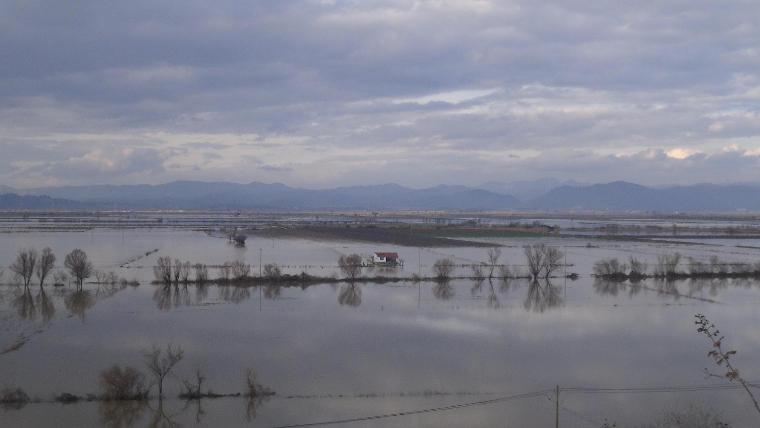 Büyük Menderes taştı, mahalle ve tarım arazileri su altında