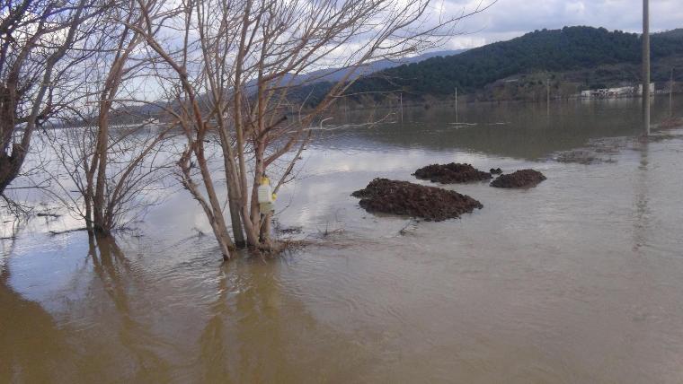 Büyük Menderes taştı, mahalle ve tarım arazileri su altında