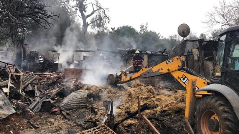 Savcılık, Büyükada'da çıkan yangında ilk incelemeyi tamamladı