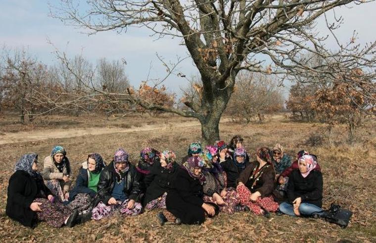 İptal edildiği söylenen Çerkezköy termik santrali için Bakanlık “devam” dedi